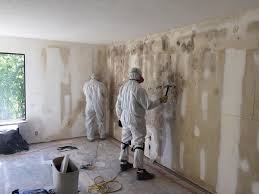 Best Comprehensive Air Testing for Mold Contaminants  in Belford, NJ